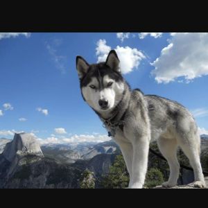 Meet your Posher, Matthew